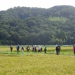 ９月２７日（日）JRハイキング（攻める信長・秀吉、どうする長政）　　　　　 　　　　　　　　虎御前山と小谷城本丸　